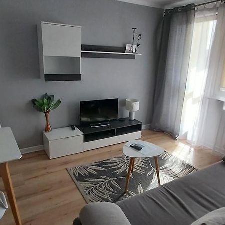 Apartament M-3 Centrum - 38M2 تشينستوخوفا المظهر الخارجي الصورة
